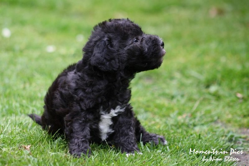 Arc-en-ciel Antares 2009-06-17 (35).JPG